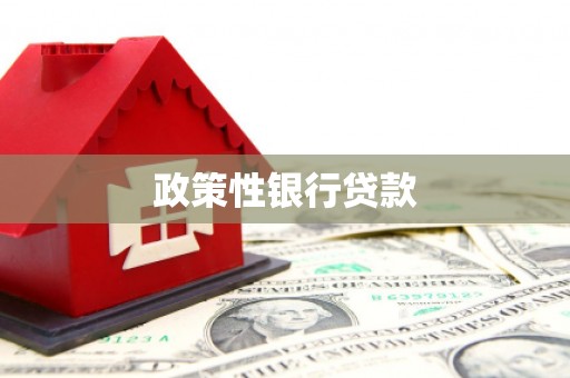 砚山政策性银行贷款