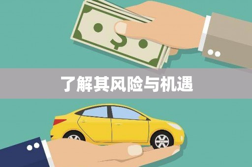砚山了解其风险与机遇