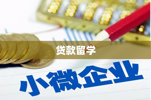 砚山贷款留学