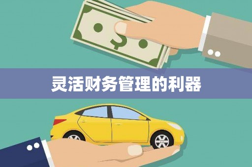 砚山灵活财务管理的利器