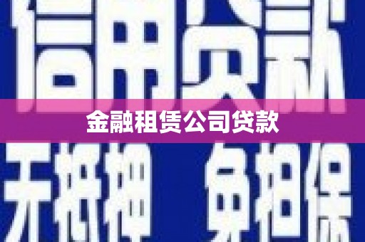 砚山金融租赁公司贷款