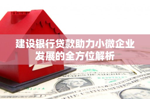 砚山建设银行贷款助力小微企业发展的全方位解析