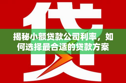 砚山揭秘小额贷款公司利率，如何选择最合适的贷款方案