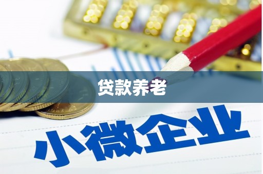 砚山贷款养老