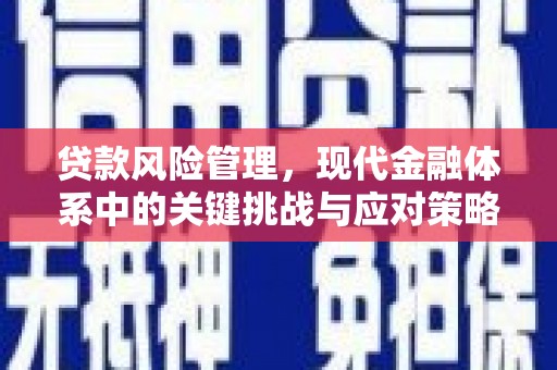 砚山贷款风险管理，现代金融体系中的关键挑战与应对策略