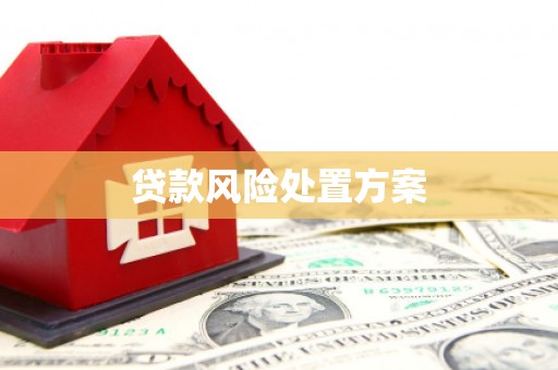 砚山贷款风险处置方案
