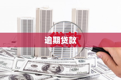 砚山逾期贷款