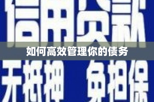 砚山如何高效管理你的债务