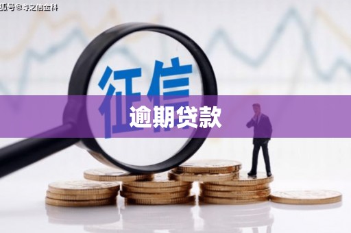 砚山逾期贷款